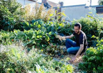 Permaculture urbaine : il cultive et récolte 300 kg de légumes bio dans son potager de 25 m²