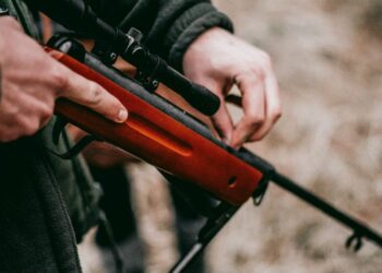 L'extrême droite européenne prend les armes et recrute des militaires