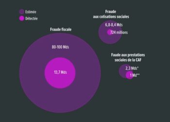 fraude sociale fiscale France 1