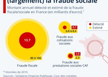 Propagande : fraude fiscale versus fraude sociale !