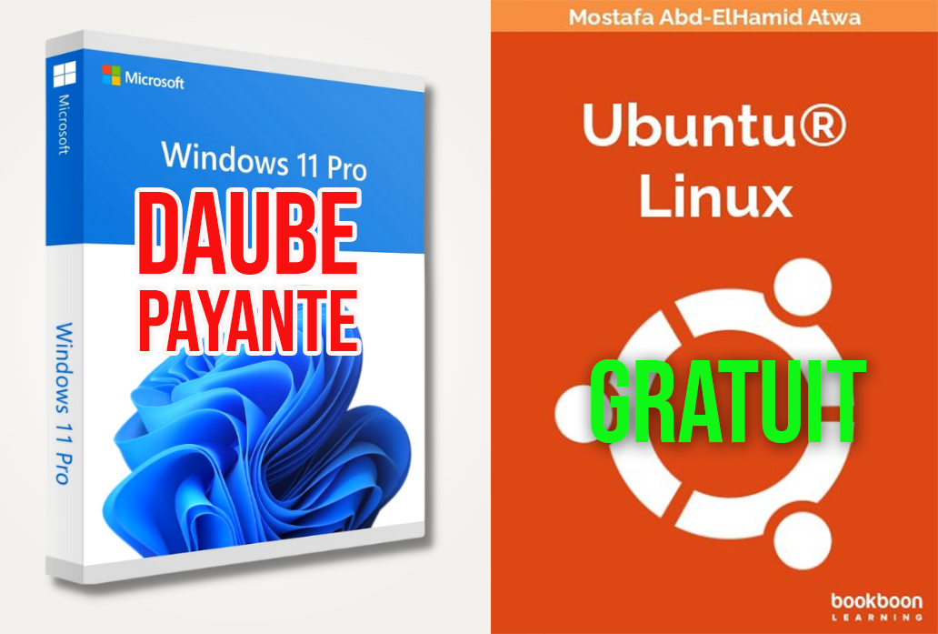 L’État aurait dû installer le gratuit Linux sur ses millions d’ordinateurs, à la place il a choisi l’escroquerie Microsoft
